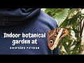 Sunday at Biosphäre Potsdam or how my boyfriend got adopted by a butterfly 🦋