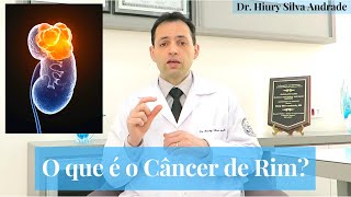 Câncer de Rim: o que é, fatores de risco, sintomas e diagnóstico