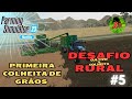 #05 Desafio Rural | Canola | Nossa primeira colheita de grãos | Farming Simulator 23