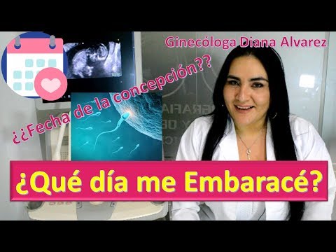 ¿QUÉ DÍA ME EMBARACÉ? ¿CÓMO CALCULAR LA FECHA DE CONCEPCIÓN? POR GINECOLOGA DIANA ALVAREZ