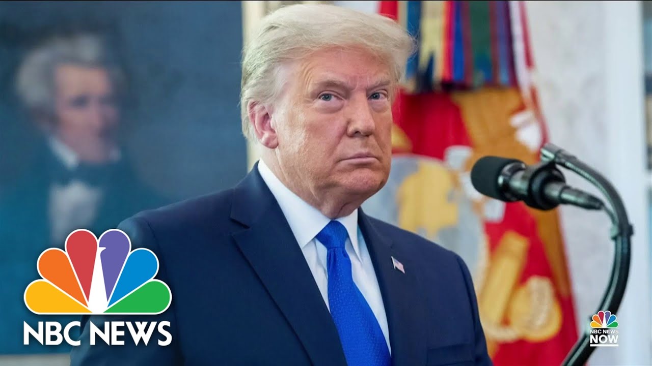 Trump Files 0 Million Lawsuit Against Niece, New York Times