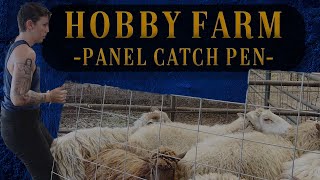 Building A Quick Sheep Catch Pen