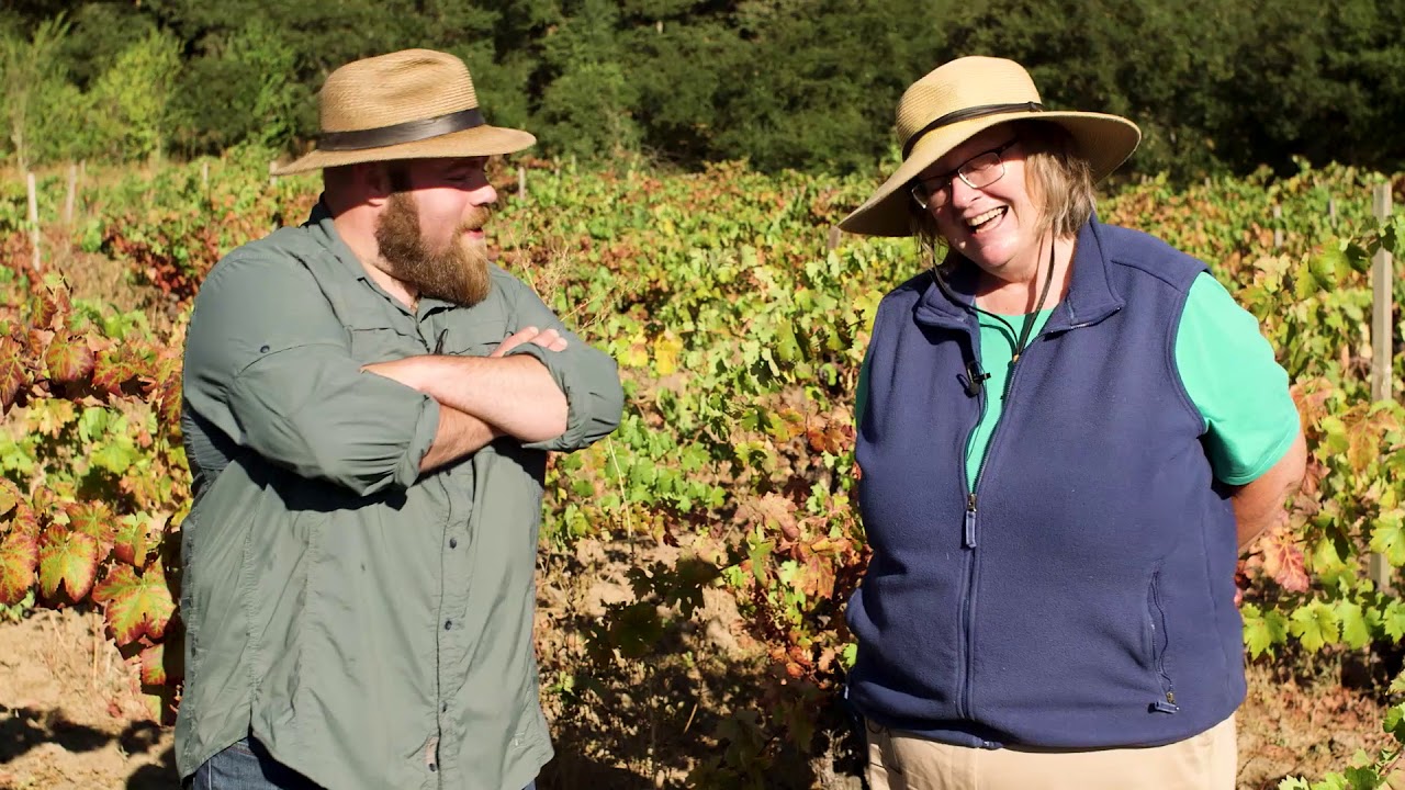 Diane Kenworthy at Oakville Farmhouse YouTube