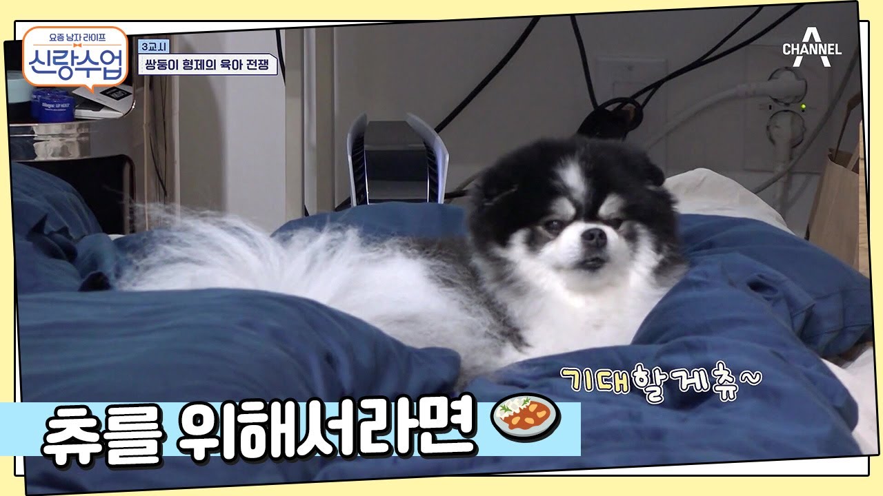 츄를 위한 준수 형제의 건강식, 단호박 카레♥ | 신랑수업 23 회