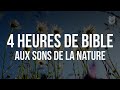 4 heures de bible aux sons de la nature bible biblevision