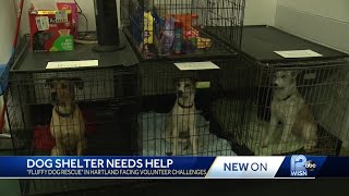 Dog shelter calls for more volunteers