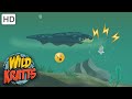 Wild Kratts |Mud MONSTERS|Eels