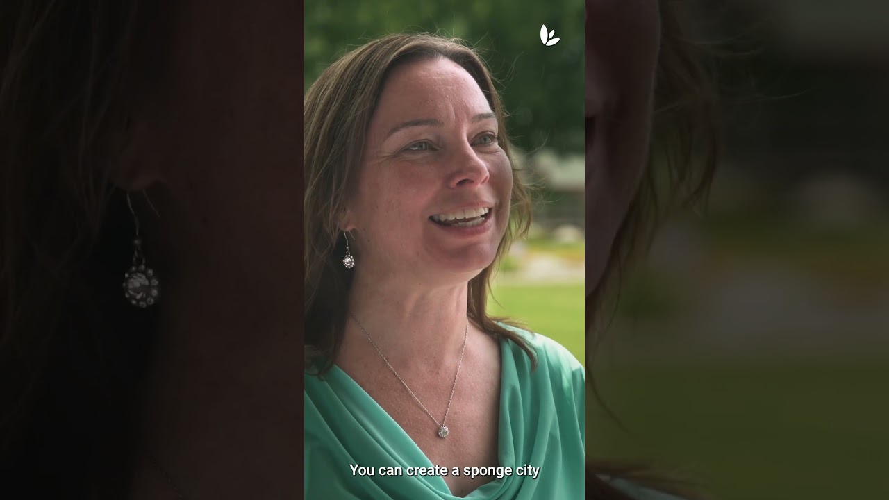 Your backyard can become a sponge city