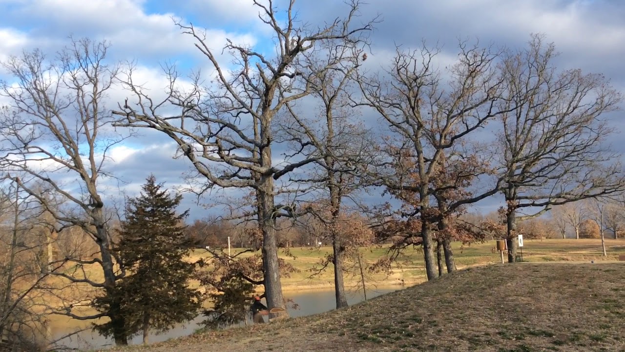 Felling a dead oak - YouTube