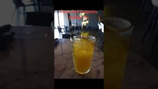 Culinary Delights at Casa del Vegano: Exploring Dallas, TX's Vegan Paradise