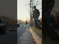 Dog Tries to Chase a Squirrel… But His Owner Saves the Moment 🐶🐿️ #goldenretreivers #puppy