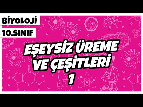 10. Sınıf Biyoloji - Eşeysiz Üreme ve Çeşitleri -1 | 2022