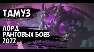 ЛУЧШИЙ ВЫБОР в соло ранг и вот почему... / Mobile Legends