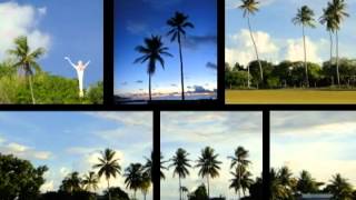 Exploring Nauru