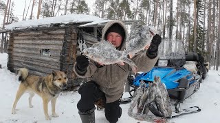 видео: ЭТОТ ТРОФЕЙ СДЕЛАЛ РЫБАЛКУ. НОЧЁВКА В ТАЁЖНОЙ ИЗБЕ. ПРОВЕРИЛ ЖЕРЛИЦУ И НЕ ПОВЕРИЛ ГЛАЗАМ картинка: ЭТОТ ТРОФЕЙ СДЕЛАЛ РЫБАЛКУ. НОЧЁВКА В ТАЁЖНОЙ ИЗБЕ. ПРОВЕРИЛ ЖЕРЛИЦУ И НЕ ПОВЕРИЛ ГЛАЗАМ
