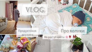 Как избавиться от КОЛИКОВ👶/пересадка цветов 🌼/закупка продуктов🍊🧀🍞/УРА, КАНИКУЛЫ! #буднимамы #колики