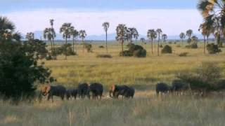 Liwonde National Park Malawi