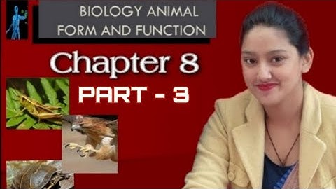 Class 6th |Chapter-8| Animals; forms and function (part.3), by rinki mam