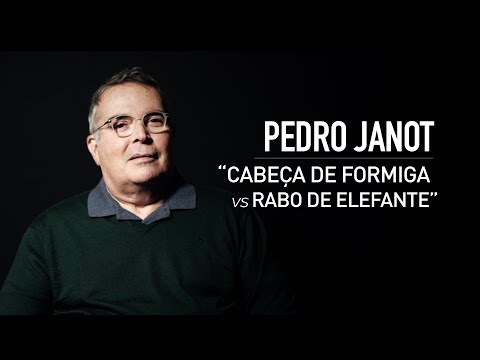 PAPO DE CEO - CABEÇA DE FORMIGA VS RABO DE ELEFANTE