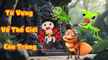 Từ Vựng Về Thế Giới Côn Trùng - Insect Vocabulary