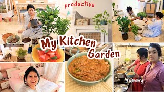 ❤️My Summer New Kitchen Garden 😊 Plant Collection ❤️ Most Decilious Recipe In Kadai | Kadai Chicken