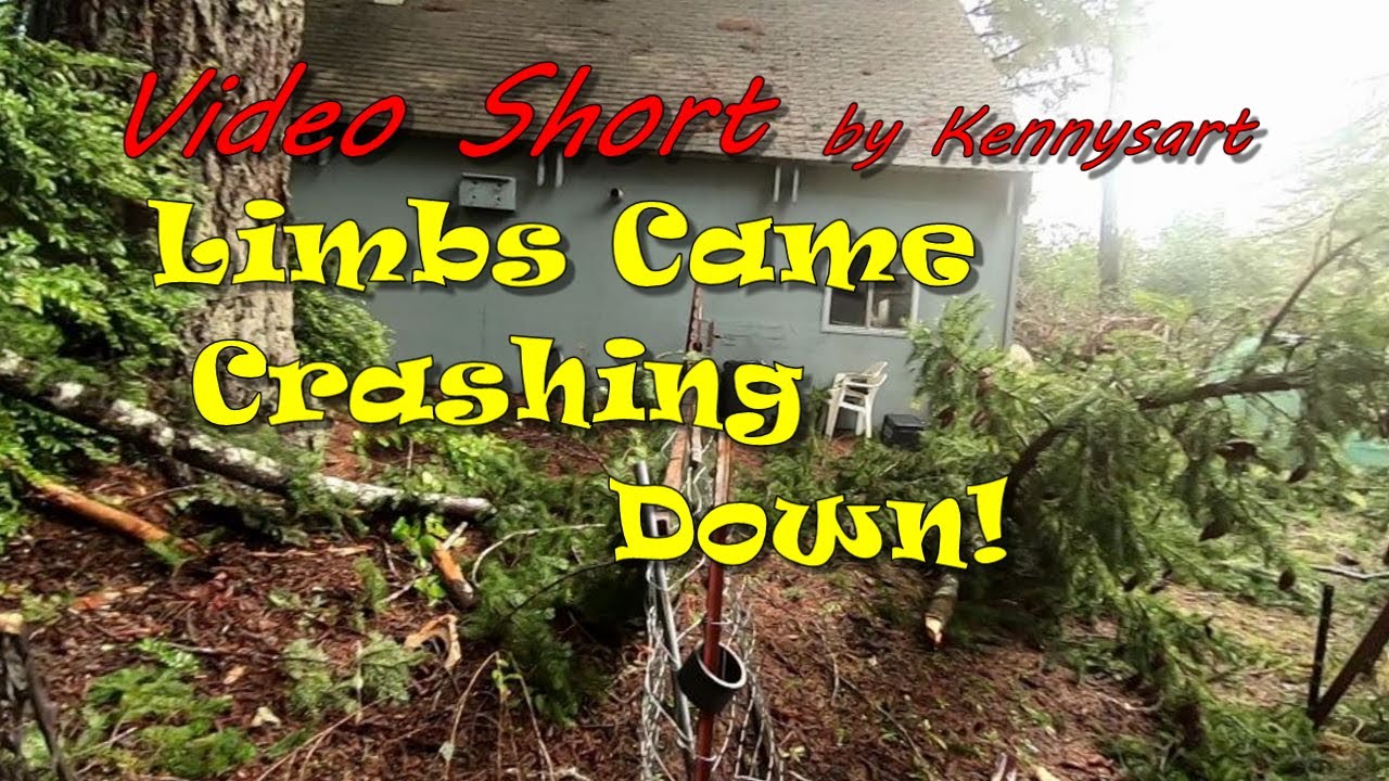 Big limbs came crashing down almost hitting our house! - YouTube