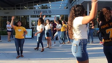 2019 Cake Cutting Performance - Delta Tau Lambda Sorority, Incorporated