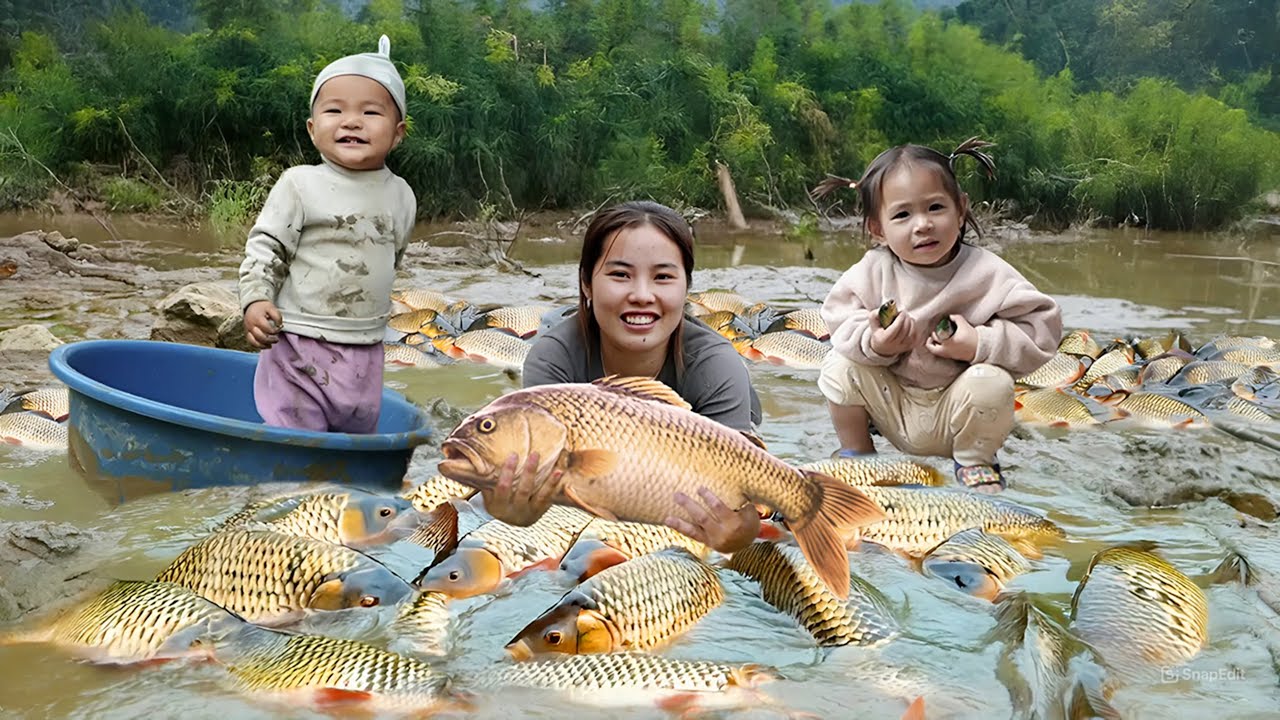 Draining the muddy swamp and catching Giant Fish shoal with Ms.Duong's family | Village Life