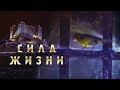 "Сила Жизни" - видеопоэзия Наталии Лансере