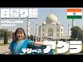 trip vlog🇮🇳|夏のインドは暑くて過酷