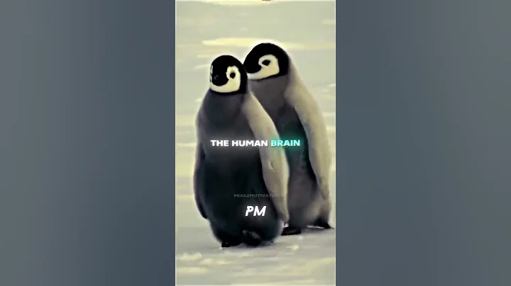 This Advice Can Change Your Life FOREVER…🤯🧠 – Simon Sinek