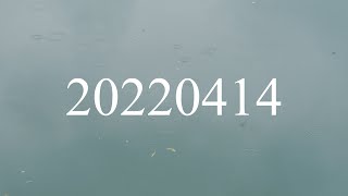 20220414 4K120p