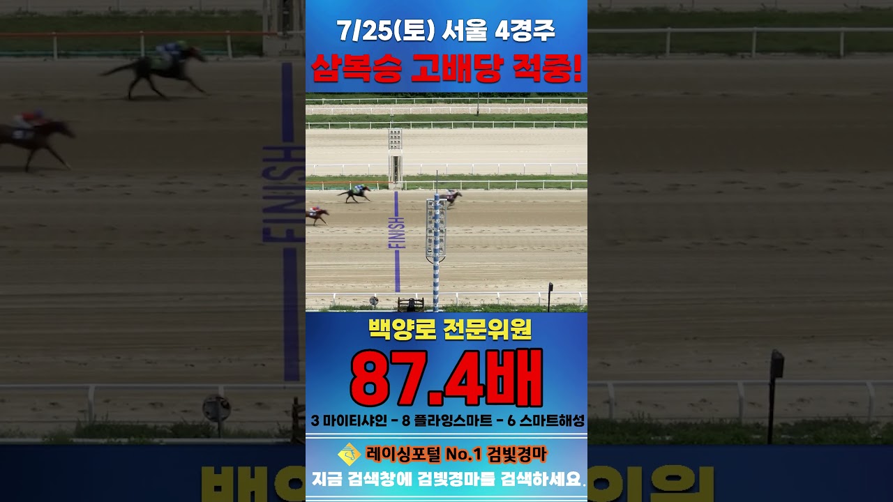 [서울 경마] 7월 25일 토요 4경주 백양로 전문위원 삼복승 고배당 적중 #한국마사회 #horse #경마 #automobile #하이라이트 #riding #게임 #racing