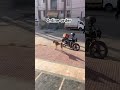 #funny #dog #online #swiggy #shorts #tranding #masti #viral #masti #pizza #love