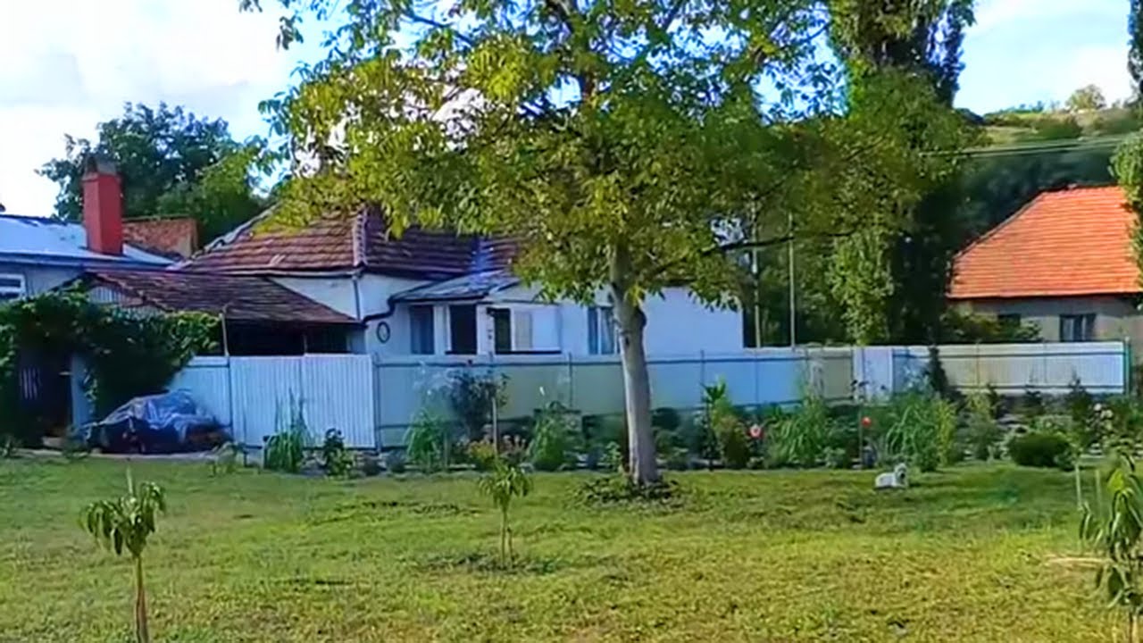 Наши закарпатские будни. Гуд бай, забор! прощайте, сорняки!