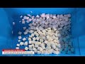 Fast Speed Radish Cube Dicing Cutting Machine