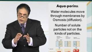 Topic 36 (BIO201 - Cell Biology)