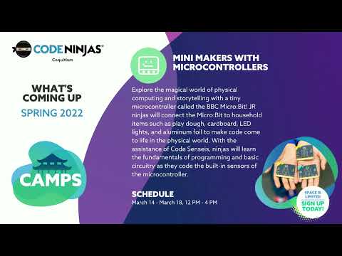 Camp Video   Microbits