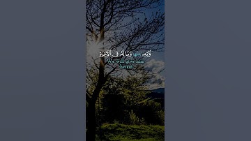 تدبر القران الكريم #quran
