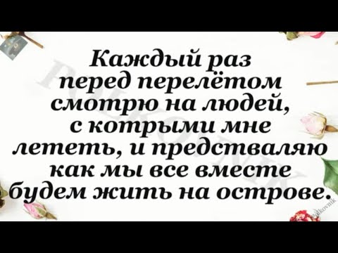 Весёлая жизнь! Политики и подгузники должны...