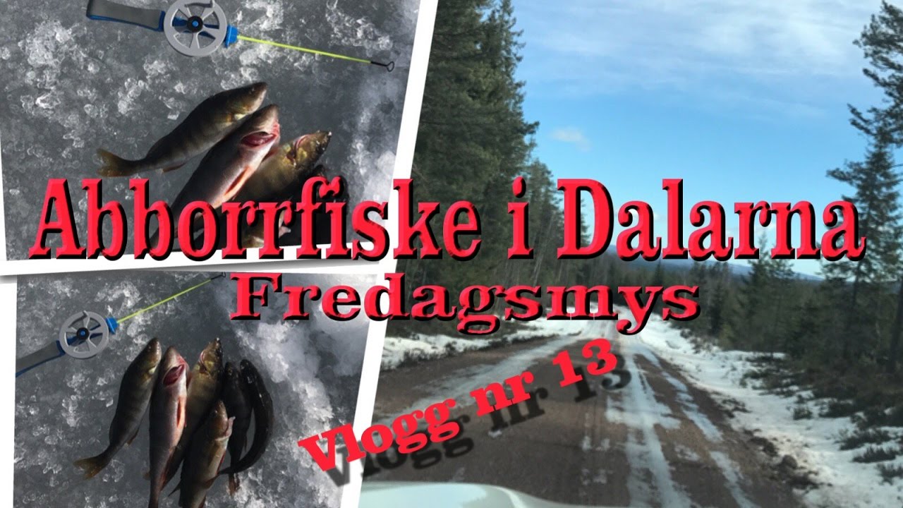 Pimpla Abborre i Dalarna