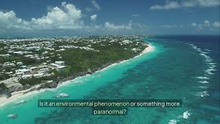 Unsolved Mysteries That Have Confused Scientists F