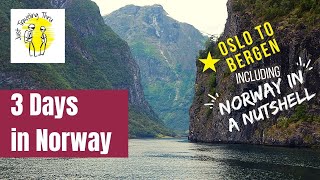 3 Days In Norway; Oslo to Bergen, including Norway in a Nutshell