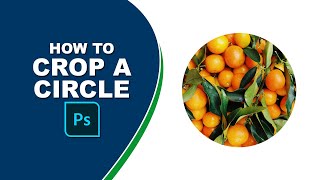 How to crop a circle in Photoshop elements