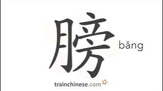 How to write 膀 (bǎng) – shoulder; wing – stroke order, radical, examples and spoken audio
