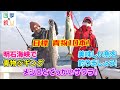 明石海峡で青物ジギング　美味しい魚を釣りましょう！（四季の釣り/2021年12月17日放送）