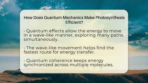 How Does Quantum Mechanics Make Photosynthesis Efficient? - Ecosystem Essentials