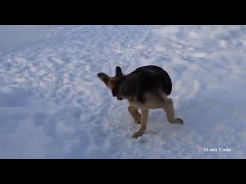 Не догоню - так хоть согреюсь! Не догоню - так хоть согреюсь!