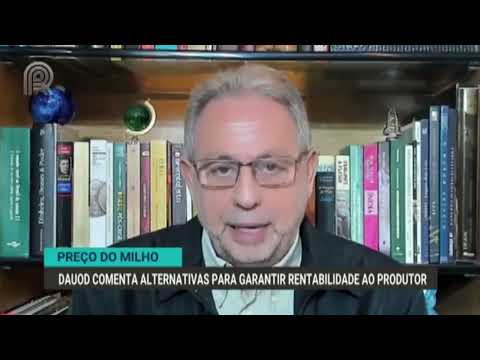 Milho: Fávaro cita preço mínimo para garantir rentabilidade ao produtor | Canal Rural