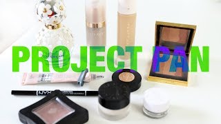 PROJECT PAN UPDATE - 1 month winter update